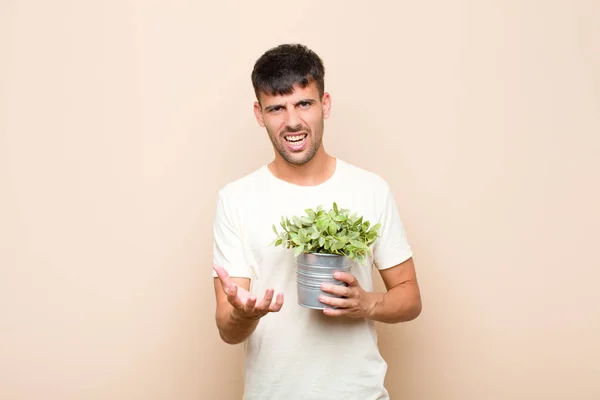 若いハンサムな男が怒っていらいらしながら叫びながら植物を持っているあなたに何が悪いのか — ストック写真