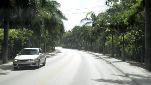 Vue depuis une voiture passant par la route à Punto Cana, République Dominicaine . — Video
