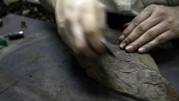 La personne produit un cigare à Punto Cana, République Dominicaine . — Video