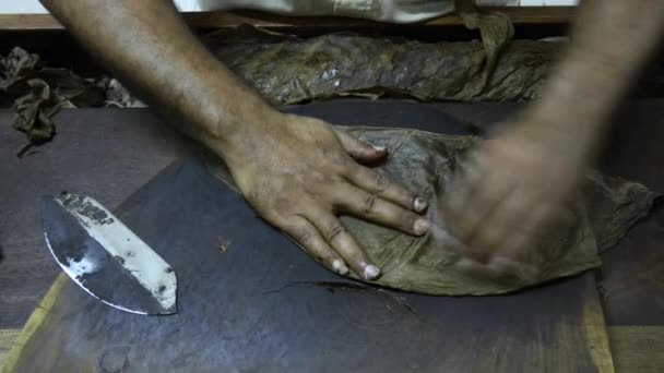 Person produces a cigar in Punto Cana, Dominican Republic. — Stock Video