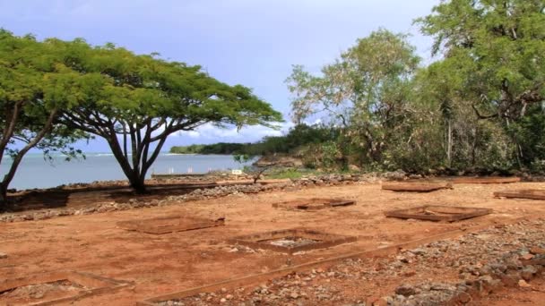 Veduta sulle rovine dell'insediamento di La Isabela a Puerto Plata, Repubblica Dominicana. La Isabela fu fondata da Cristoforo Colombo nel 1493 . — Video Stock