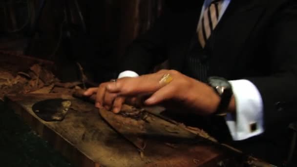 Person produziert eine Zigarre in Punto Cana, Dominikanische Republik. — Stockvideo