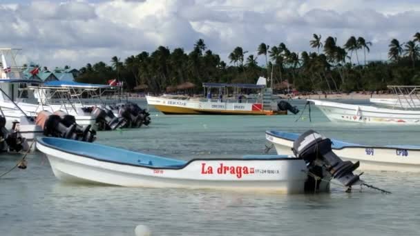 View to the boats anchored at the harbor in Bayahibe, Dominican Republic. — Stock Video