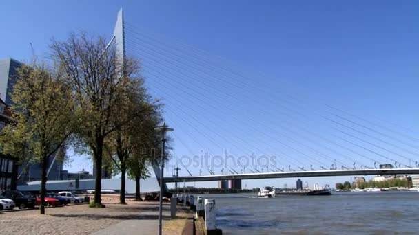 Csónak elhalad a Maas-folyó a híres Erasmus-híd a háttérben, Rotterdam, Hollandia. — Stock videók