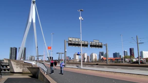 Люди ходят по знаменитому мосту Эразмус в Роттердаме, Нидерланды . — стоковое видео