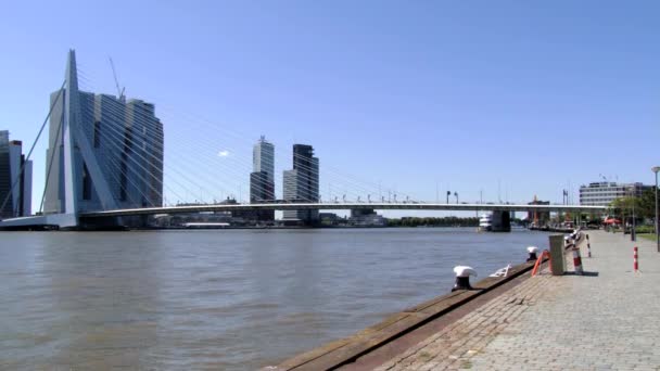 Exteriér ze slavného mostu Erasmus v Rotterdam, Nizozemsko. — Stock video