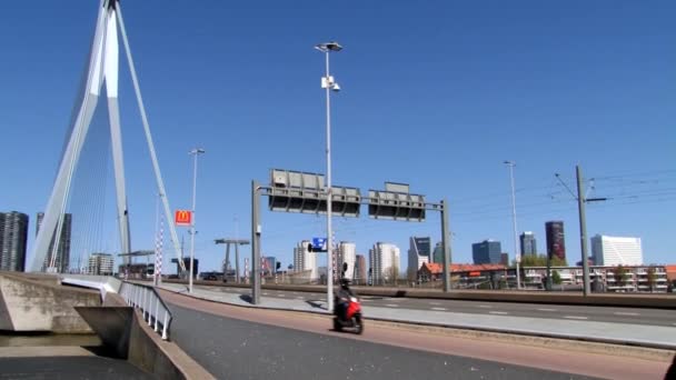 Люди ходят по знаменитому мосту Эразмус в Роттердаме, Нидерланды . — стоковое видео