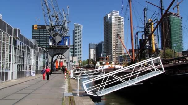 La gente camina por la orilla del río en el puerto histórico de Rotterdam, Países Bajos . — Vídeo de stock
