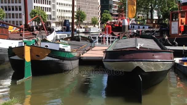 Вид на традиционные лодки, привязанные к исторической гавани в Роттердаме, Нидерланды . — стоковое видео