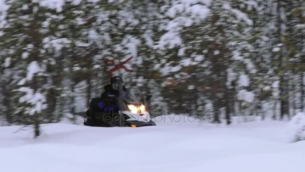 남자 겨울 숲으로 스노우 모빌 타기 이나리, 핀란드의 흔적. — 비디오