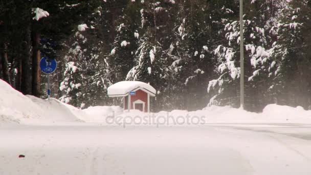 View to a bus stop in a forest in snowy winter weather in Inari, Finland. — Stock Video