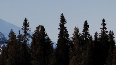 Çam ormanı ve Hemsedal, Norveç'te karla kaplı dağ görüntülemek.
