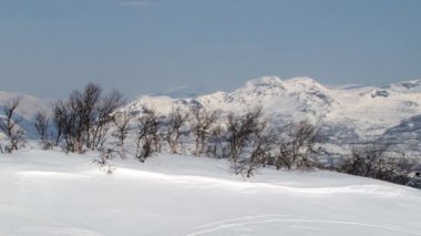 Hemsedal, Norveç'te karla kaplı ağaçlar ve dağlar görünümüne.
