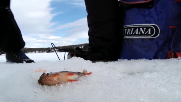 Människor vinter isfiske på sjön i Trysil, Norge. — Stockvideo