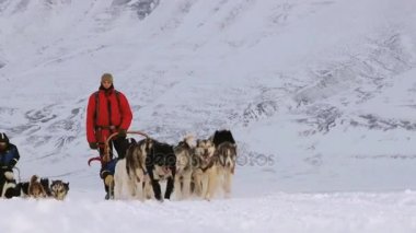 İnsanlar Longyearbyen, Norveç'te kar kızaklarımız Sibirya husky köpekleri ile binmek.