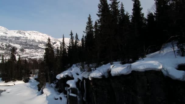 Vista para a floresta e montanhas em Hemsedal, Noruega . — Vídeo de Stock