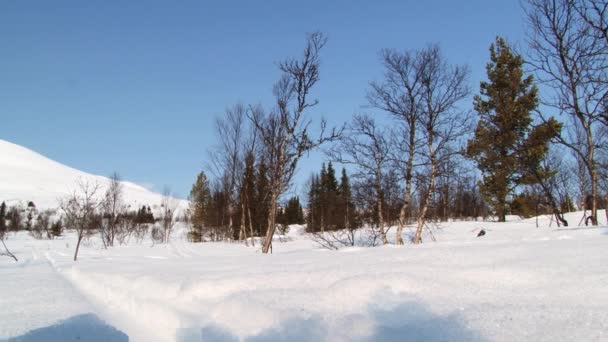 Hemsedal, Norveç'te kar yerinde insanlar yürümek. — Stok video