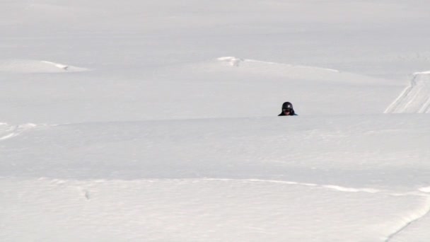 人骑雪地摩托在瑟达尔，挪威. — 图库视频影像
