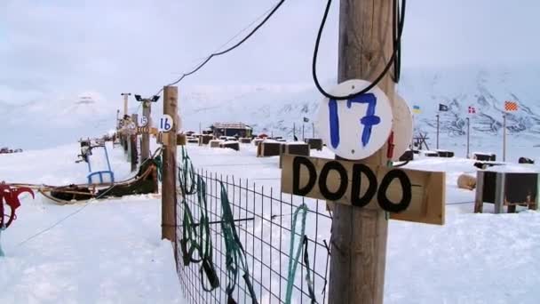 Widok na domy psów Siberian husky w stoczni pies w mieście Longyearbyen, Norwegia. — Wideo stockowe