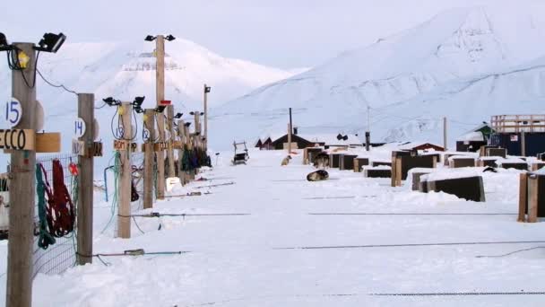 Vista a las casas de perros husky siberianos en el patio de perros en Longyearbyen, Noruega . — Vídeos de Stock