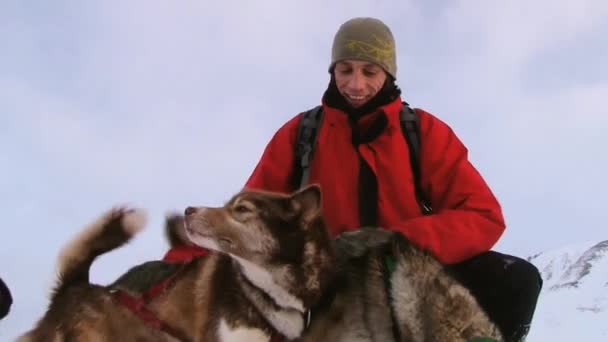 Hombre mascotas perros husky siberianos durante la excursión en trineo en Longyearbyen, Noruega . — Vídeos de Stock