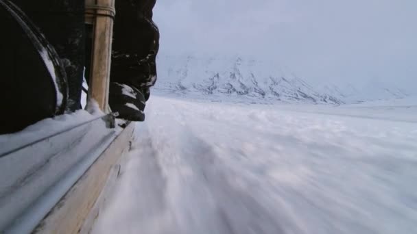 Persoon rijdt hond slee op de sneeuw in Longyearbyen, Noorwegen. — Stockvideo