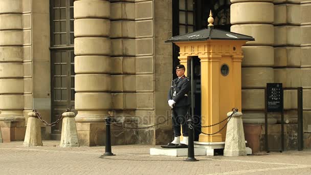 Hombre sirve como guardia en el Palacio Real en Estocolmo, Suecia . — Vídeos de Stock