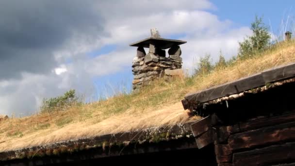 Vista sul tetto di una tradizionale casa norvegese a Roros, Norvegia . — Video Stock