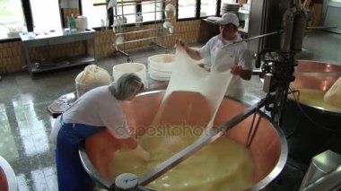 Modena, İtalya fabrikasında Parmesan peyniri insanlar üretmek.