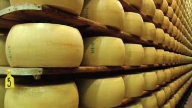 Peynir parmesan peynir fabrikası Modena, İtalya Cellar'da raflarda olgunlaşması tekerlekler görüntülemek.