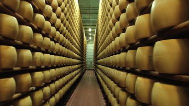 Peynir parmesan peynir fabrikası Modena, İtalya Cellar'da raflarda olgunlaşması tekerlekler görüntülemek.