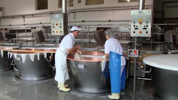 As pessoas produzem queijo parmesão na fábrica em Modena, Itália . — Vídeo de Stock