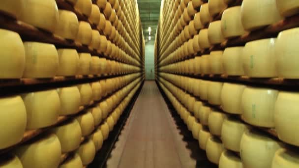 モデナ、イタリアのチーズ工場の地下室で棚にパルメザン チーズ熟成のチーズ ホイールに表示します。. — ストック動画