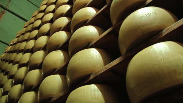 Visa att ost-hjul parmesan mognar på hyllorna på källaren på ostfabriken i Modena, Italien. — Stockvideo