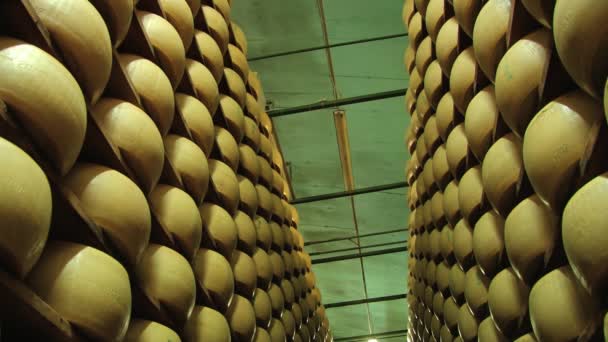 Vista a las ruedas de queso de parmesano madurando en los estantes de la bodega de la fábrica de queso en Módena, Italia . — Vídeos de Stock