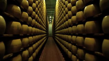 Peynir parmesan peynir fabrikası Modena, İtalya Cellar'da raflarda olgunlaşması tekerlekler görüntülemek.