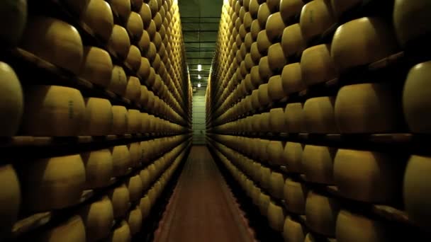 Nézd, a sajt-kerekek, a parmezán lejáró a polcokon a pince, a sajt üzem, Modena, Olaszország. — Stock videók