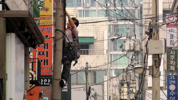 Homem corrige fios elétricos no poste na rua do distrito de Gangnam em Seul, Coréia . — Vídeo de Stock