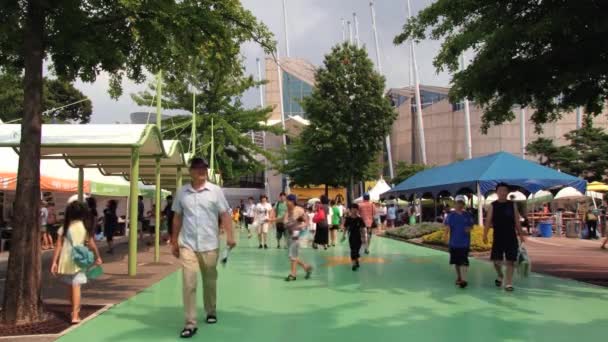 Menschen besuchen daejeon expo in daejeon, Korea. — Stockvideo