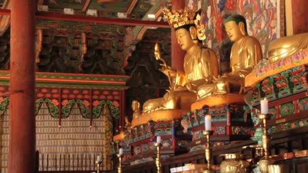 Monk prays in the Buddhist temple in Haeinsa monastery, Haeinsa, Korea. — Stock Video