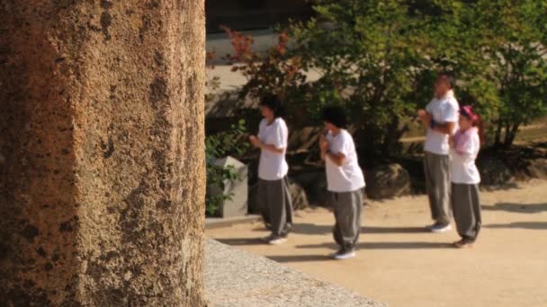 Peregrinos se aproximam do templo budista Haeinsa em Haeinsa, Coréia . — Vídeo de Stock