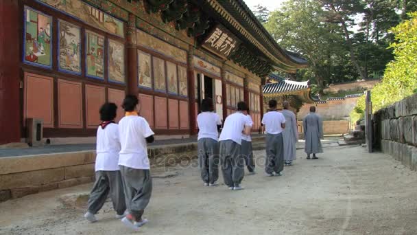 Pielgrzymi podejście Haeinsa buddyjskiej świątyni w Haeinsa w Korei. — Wideo stockowe