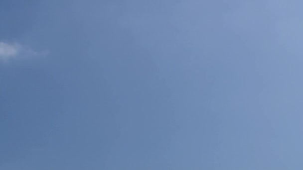 韓国、慶州の瞻星台展望台の外観. — ストック動画