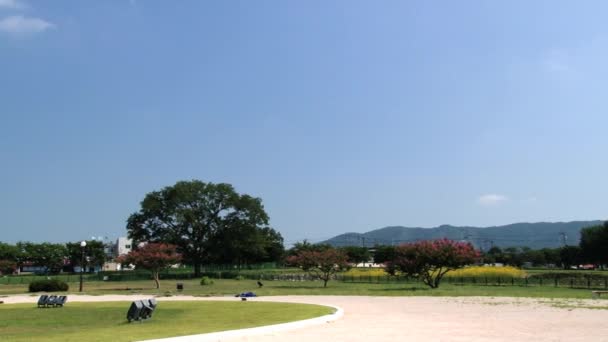 Utsidan av Cheomseongdae observatoriet byggnad i Gyeongju, Sydkorea. — Stockvideo