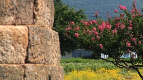 Detail van de buitenkant van het Observatorium van de Cheomseongdae gebouw met bloeiende bloemen op de achtergrond in Gyeongju, Zuid-Korea. — Stockvideo