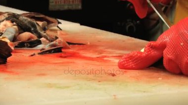 Busan, Kore balık pazarında, küçük balık kadın keser.