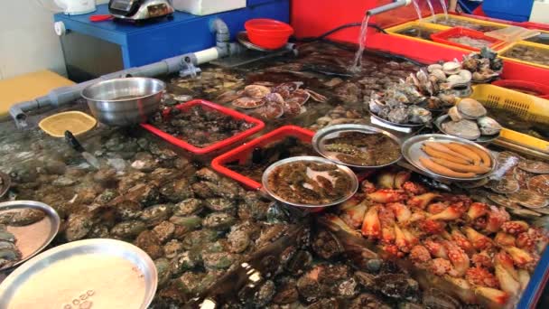 Вид на ларек с рыбой и морепродуктами на рыбном рынке в Пусане, Корея . — стоковое видео