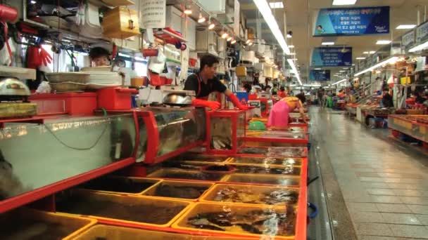 La gente vende pescado y marisco en el mercado de pescado en Busan, Corea . — Vídeo de stock