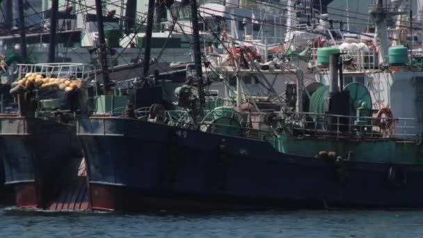 Bateau de pêche arrive au port de pêche de Busan, Corée . — Video