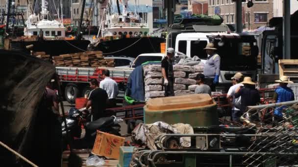 Personas descargan pescado congelado del barco pesquero en el puerto marítimo de Busan, Corea . — Vídeos de Stock